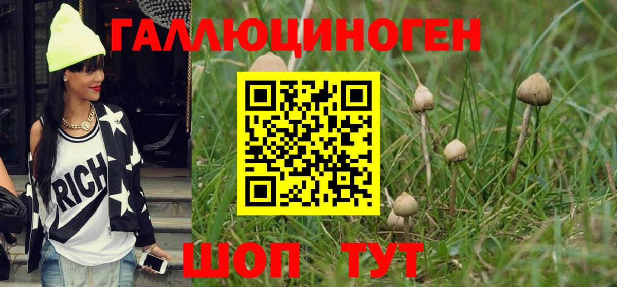 Галлюциногенные грибы мицелий  Галлюциногенные грибы мицелий  Котельники  даркнет сайт  Вход с VPN 